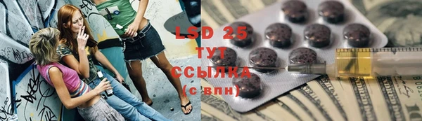 гидра Зеленокумск