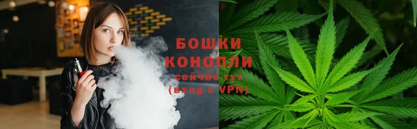 гидра Зеленокумск