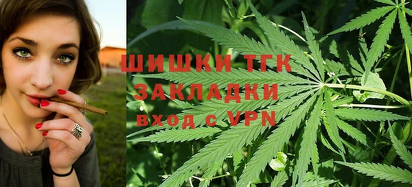 гидра Зеленокумск