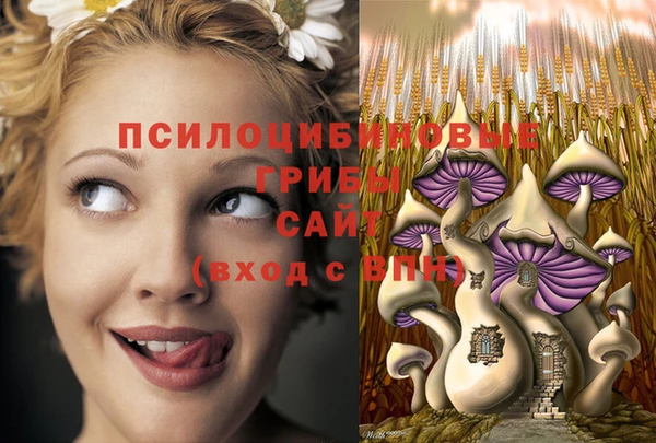 гидра Зеленокумск