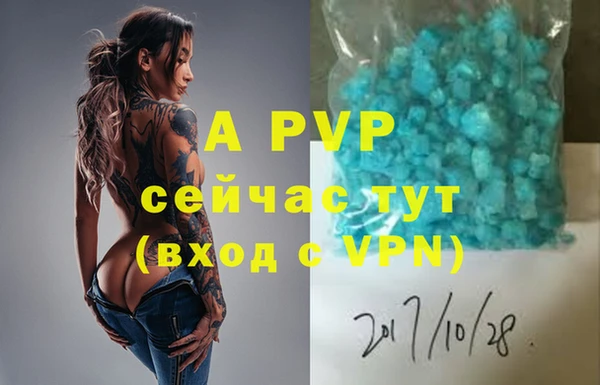 гидра Зеленокумск
